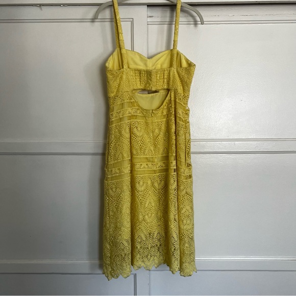 Thurley Yellow Lace Dress - Picture 3 of 13